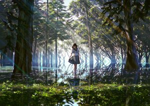 Post 327087