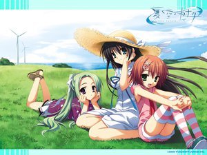 Post 50955
