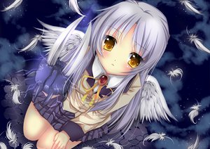 Post 77379