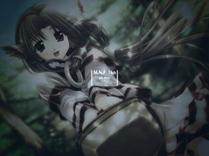 Post 17517