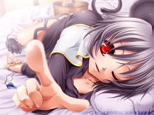 Post 69337