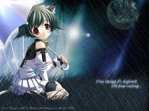 Post 785