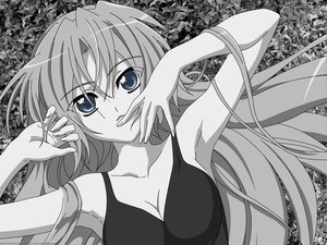 Post 66416