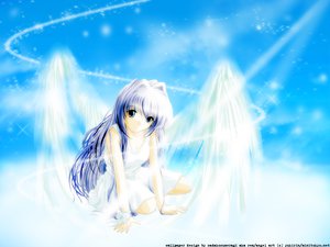 Post 1244