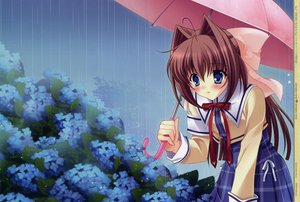 Post 46635