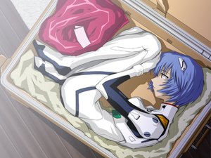 Post 384