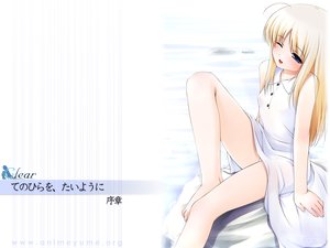 Post 2337