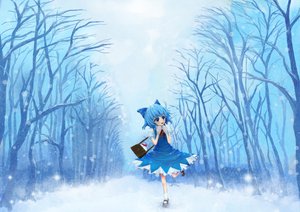 Post 96311