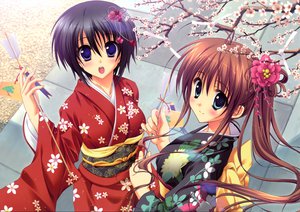 Post 50234