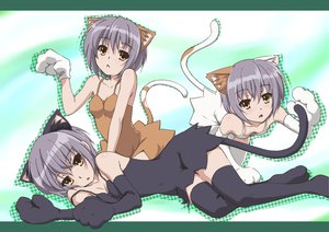 Post 95052