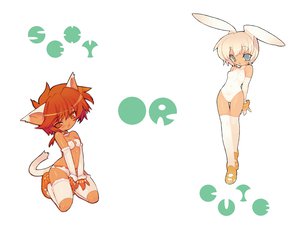Post 11017