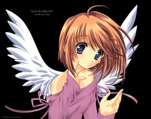 Post 18711
