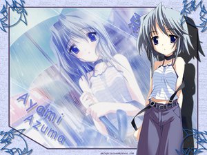 Post 1065