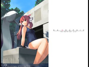 Post 7065