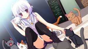 Post 90594