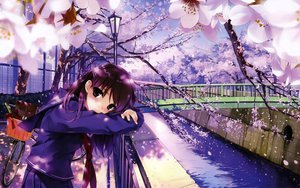 Post 75595