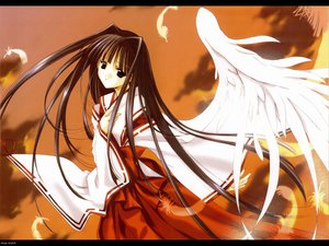 Post 25617
