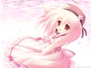 Post 56615