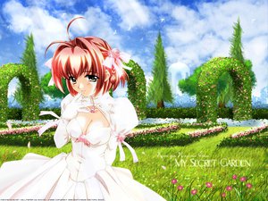 Post 15696