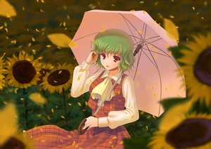 Post 84279