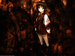 Post 23942