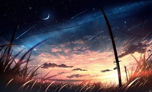 Post 312919