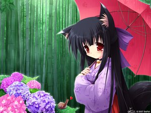 Post 56618