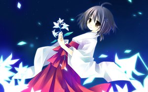Post 60053