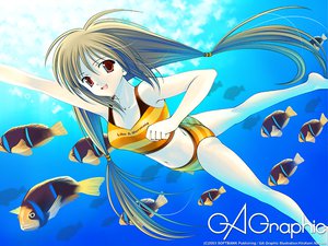 Post 6243