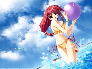 Post 12737