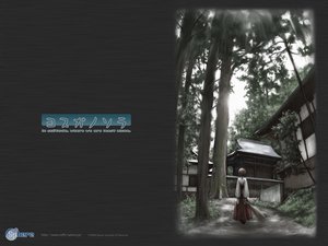 Post 55265