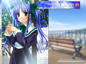 Post 6462