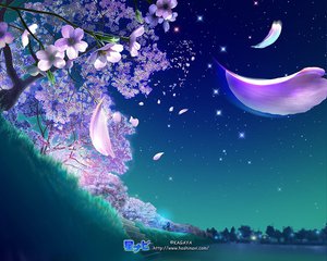 Post 25276