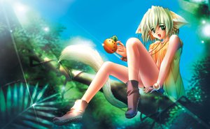 Post 27790