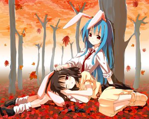 Post 7981