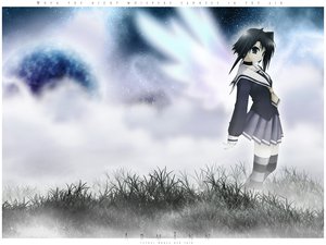 Post 33245