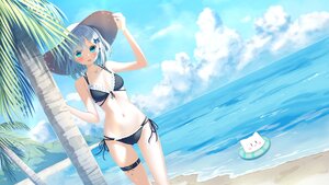 Post 362101