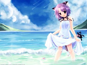 Post 10910