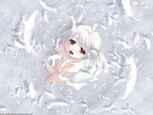 Post 17477
