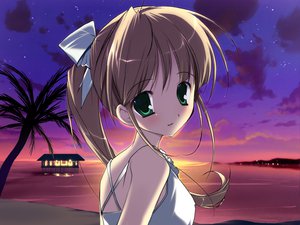 Post 7706