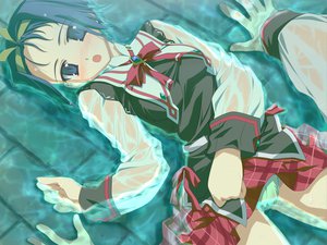 Post 7217