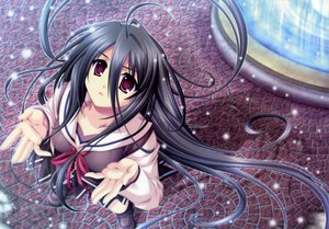 Post 87091
