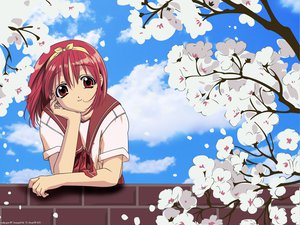 Post 17704