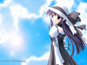 Post 2879