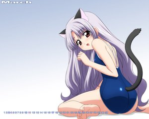 Post 7877