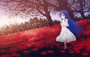 Post 85074