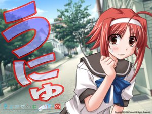 Post 6449