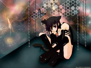 Post 25915