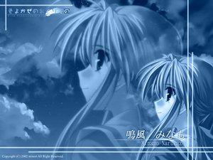 Post 6447