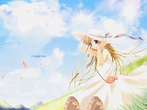 Post 13775